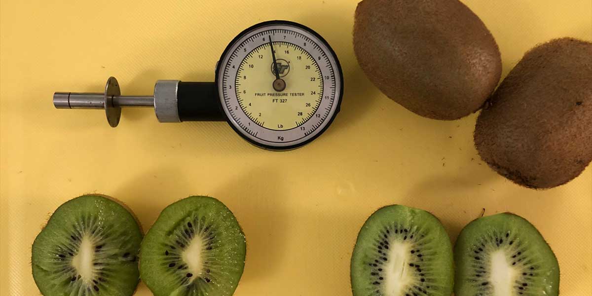 Kiwi: Grecia Vs Italia, è sfida al ribasso